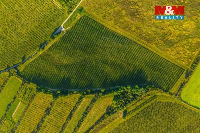 Prodej pole, Šardice, 56699 m2