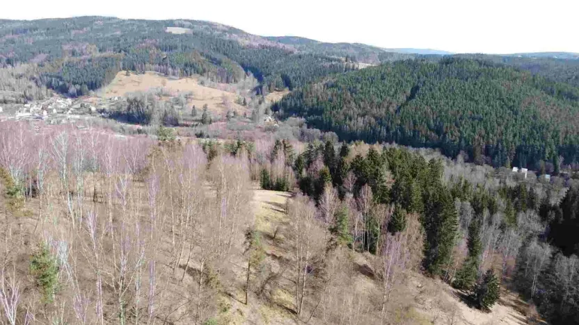 Prodej pole, Kraslice, 3869 m2