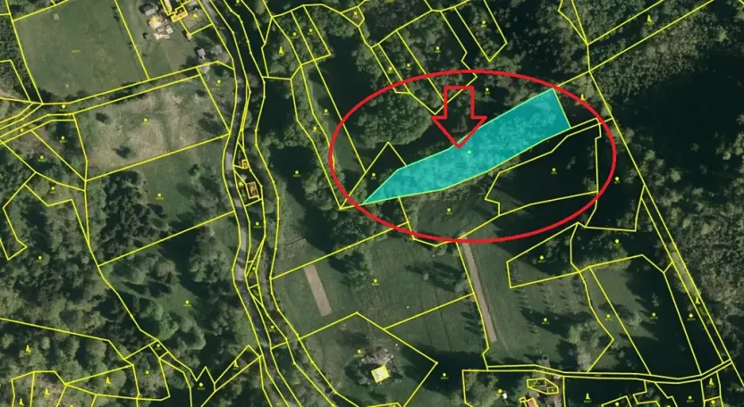 Prodej lesa, Huslenky, 11045 m2