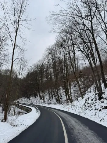 Prodej lesa, Malá Bystřice, 54751 m2