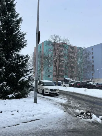 Pronájem bytu 1+kk, Ostrava - Moravská Ostrava, U Parku, 25 m2