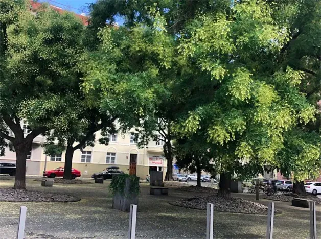 Pronájem pokoje, Praha - Holešovice, 48 m2