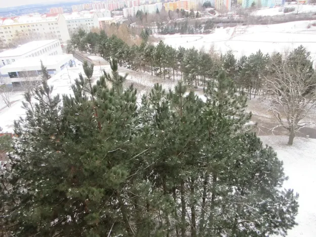 Prodej bytu 3+1, Brno, Konradova, 80 m2