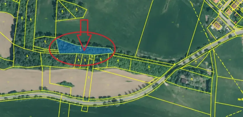 Prodej lesa, Třebohostice, 2163 m2