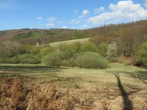 Dražba louky, Javorník, 16551 m2