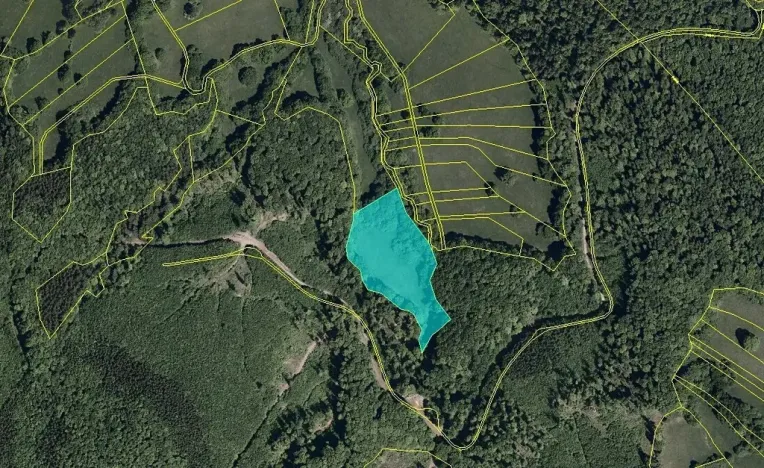 Dražba louky, Javorník, 16551 m2