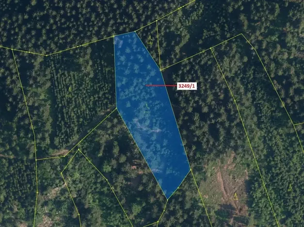 Dražba lesa, Velké Hamry, 5995 m2