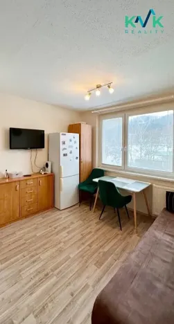 Prodej bytu 1+1, Karlovy Vary, Lidická, 36 m2
