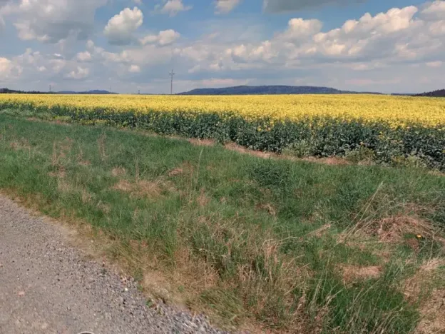 Dražba pozemku, Cebiv, 6401 m2