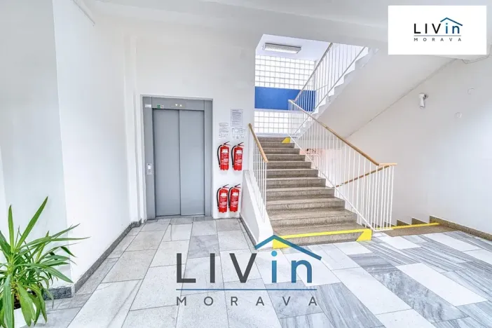 Pronájem kanceláře, Olomouc, Karolíny Světlé, 28 m2