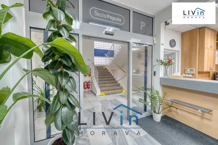 Pronájem kanceláře, Olomouc, Karolíny Světlé, 20 m2