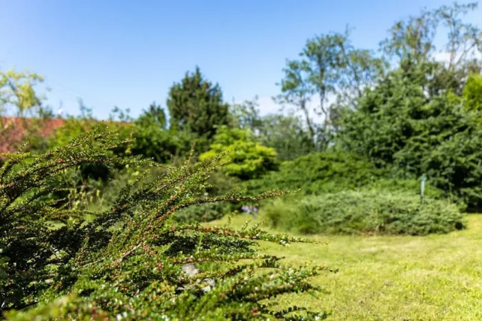 Prodej rodinného domu, Babice nad Svitavou, 230 m2