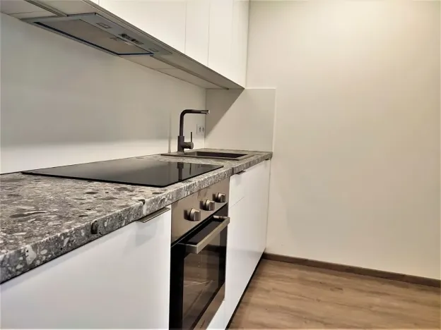 Pronájem bytu 1+kk, Brno, Placzkova, 27 m2