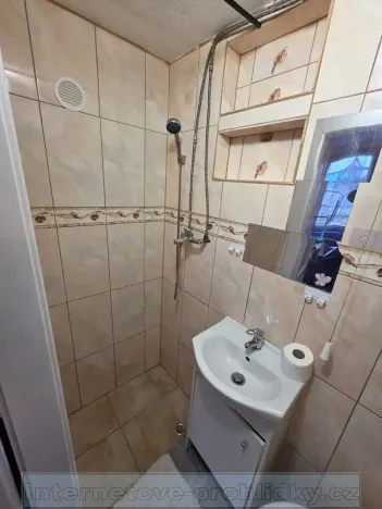 Pronájem bytu 1+kk, Praha - Modřany, Nesvadbova, 19 m2