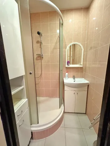 Prodej bytu 2+1, Bílina, M. Švabinského, 56 m2