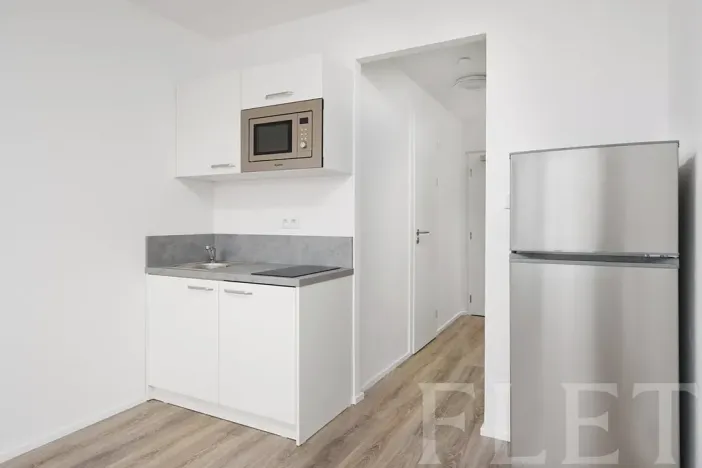 Pronájem bytu 1+kk, Praha - Chodov, Čenětická, 23 m2