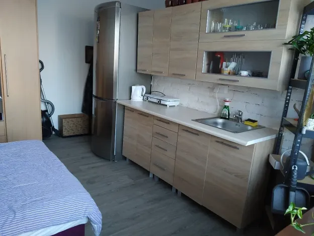 Pronájem bytu 1+kk, Holovousy, 20 m2