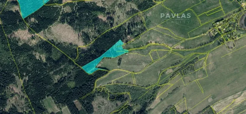 Prodej lesa, Jiříkov, 126160 m2