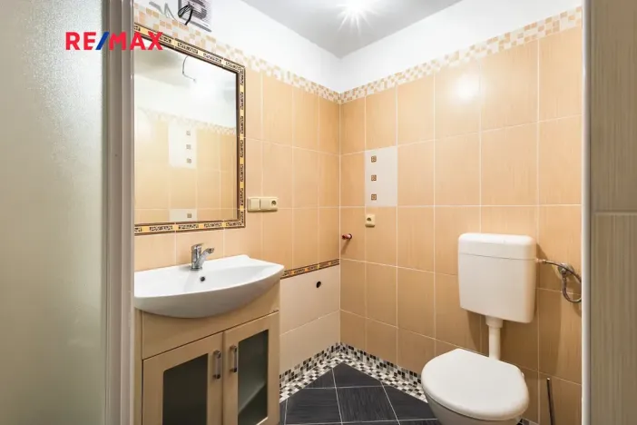 Prodej rodinného domu, Čenkovice, 175 m2