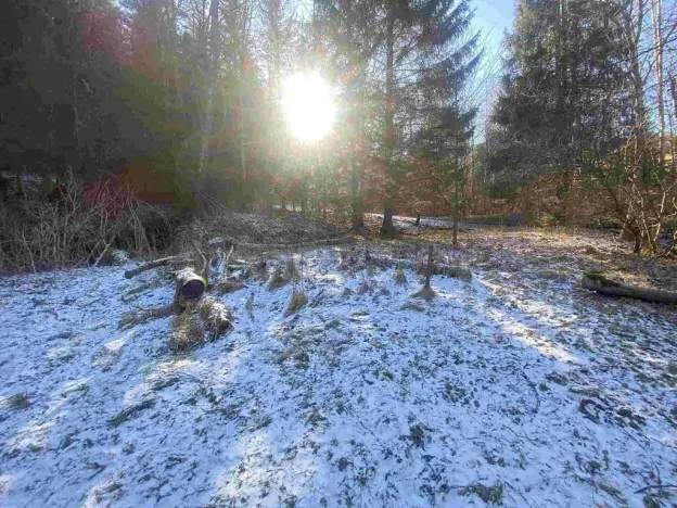 Prodej pozemku, Čachrov - Javorná, 2391 m2