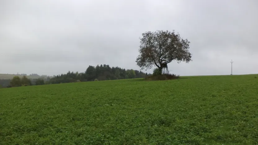 Prodej pozemku, Nové Hrady, 2679 m2