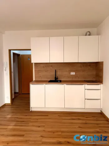 Pronájem bytu 1+kk, Praha - Žižkov, Seifertova, 21 m2