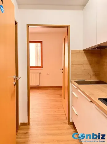 Pronájem bytu 1+kk, Praha - Žižkov, Seifertova, 21 m2