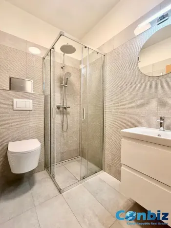 Pronájem bytu 1+kk, Praha - Žižkov, Seifertova, 21 m2