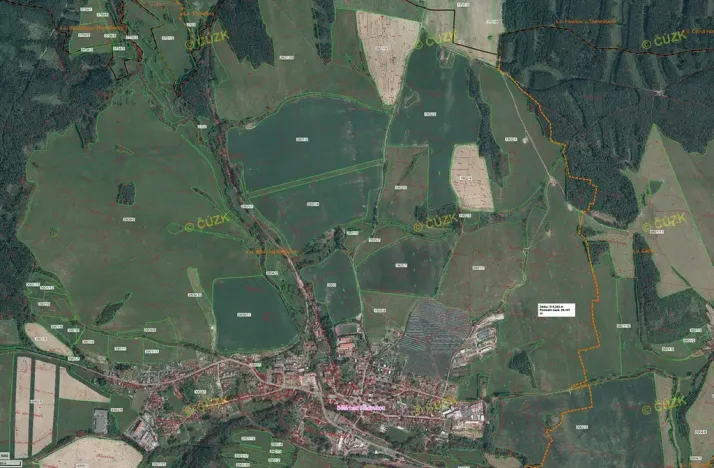 Prodej pole, Bělá nad Radbuzou, 174301 m2