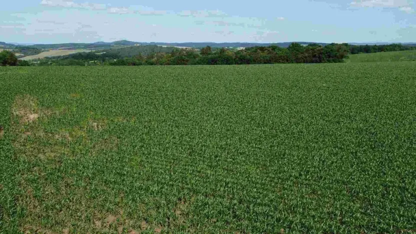 Prodej pozemku, Dobrkovice, 30313 m2