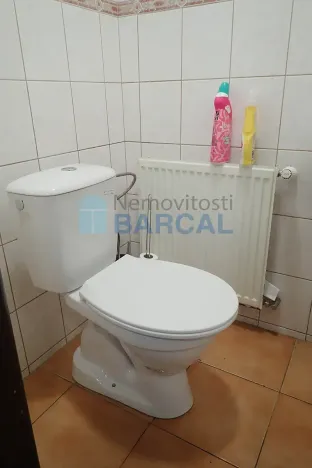 Prodej rodinného domu, Vestec, K Rybníku, 330 m2