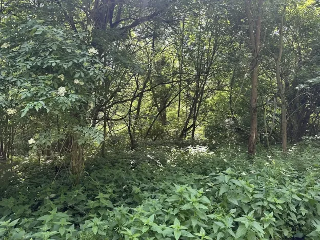 Dražba pozemku, Klášterec nad Ohří, 22680 m2