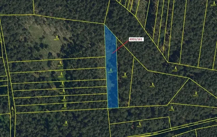 Dražba lesa, Vracov, 1702 m2