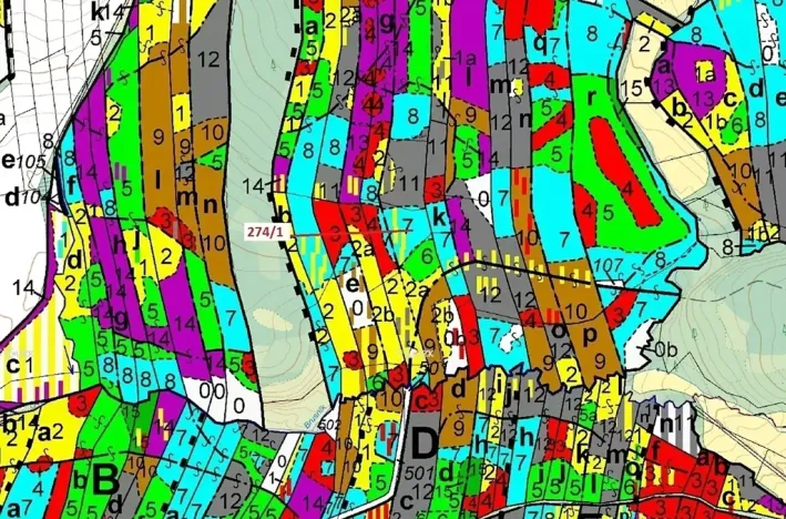 Dražba lesa, Psárov, 2949 m2