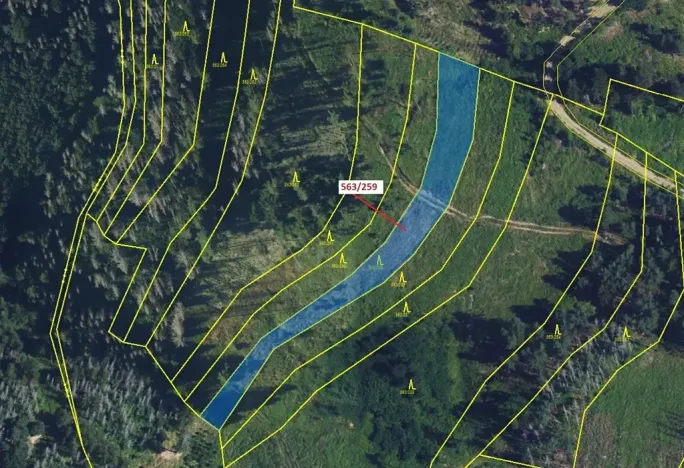 Dražba lesa, Spešov, 2318 m2