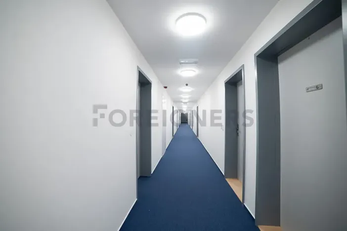 Pronájem bytu 1+kk, Olomouc, Edmunda Husserla, 43 m2