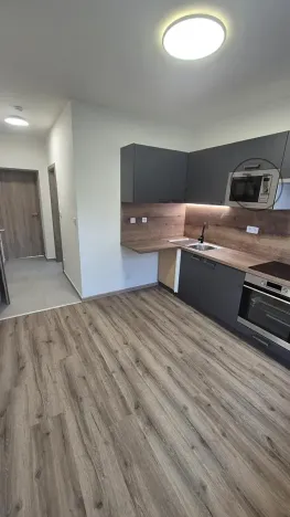 Pronájem bytu 1+1, České Budějovice, Novohradská, 33 m2