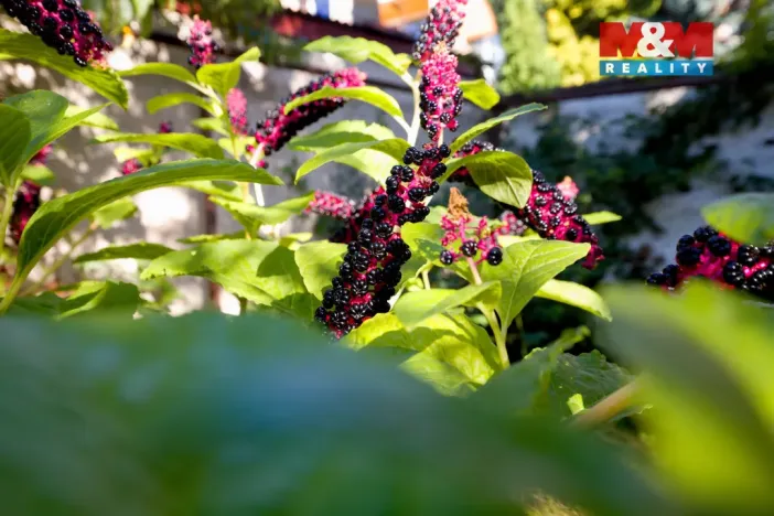 Prodej rodinného domu, Lovosice, L. Janáčka, 120 m2