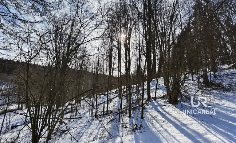 Prodej pozemku, Pohledy, 819 m2