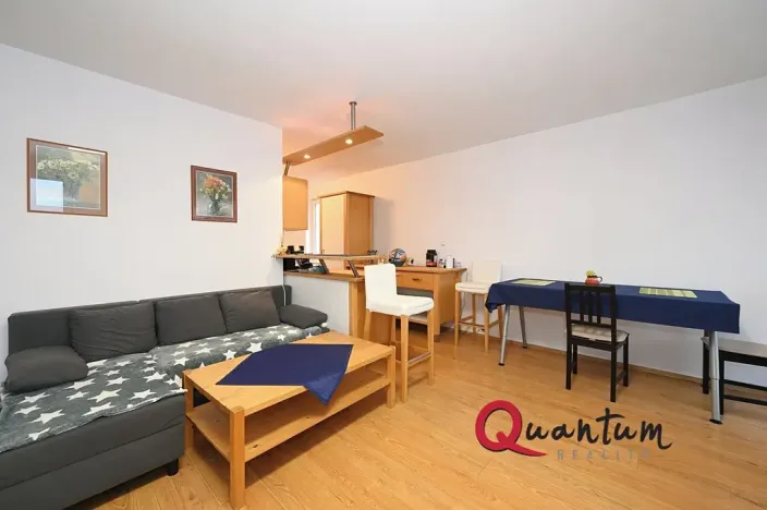 Prodej bytu 2+kk, Praha - Žižkov, Pod lipami, 61 m2