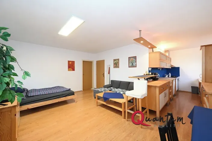 Prodej bytu 2+kk, Praha - Žižkov, Pod lipami, 61 m2