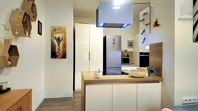 Prodej bytu 1+kk, Hustopeče, Mrštíkova, 50 m2