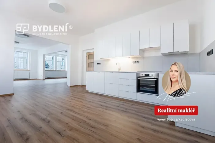 Pronájem bytu 3+kk, Teplice, Školní, 157 m2