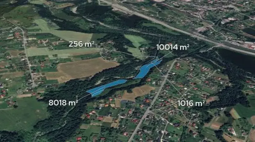 Prodej podílu lesa, Bystřice, 6434 m2