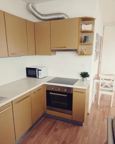 Pronájem bytu 1+kk, Hostivice, Žitná, 46 m2
