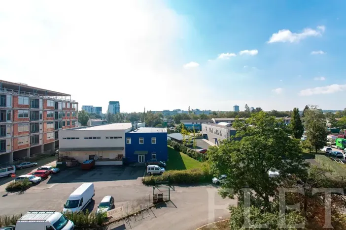 Pronájem bytu 1+kk, Praha - Žižkov, Olgy Havlové, 27 m2