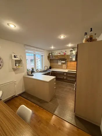 Pronájem bytu 5+kk, Brno, Skořepka, 146 m2