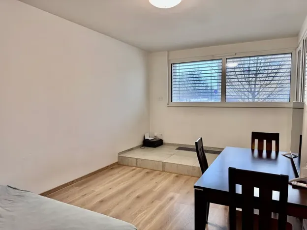 Prodej bytu 2+1, Brno, U Červeného mlýna, 57 m2