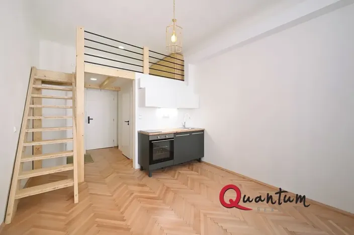 Pronájem bytu 1+kk, Praha - Nusle, Oldřichova, 19 m2