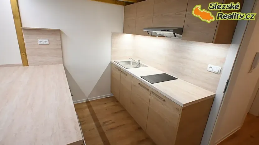 Pronájem bytu 1+kk, Ostrava, Palackého, 26 m2